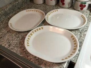 Corelle By Corning White Gold Butterfly 12” Serving Platter Set 3