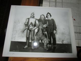 Wizard Of Oz 8x10 B&w Glossy Photo
