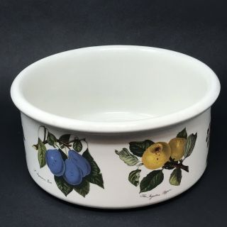 Early Vintage Portmeirion Pomona Fruits Botanical Round Drum Oven - To - Table Bowl