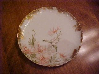 Antique Gorgeous 7 " Plate Haviland Limoges France Porcelain