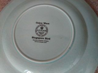 4 Adams Calyx Ware England SINGAPORE BIRD Dinner Plates 10” Wedgewood (25C) 7