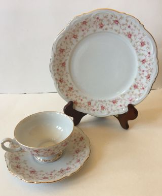 Vintage Mitterteich Bavaria Lady Claire 3 Peices Tea Cup/ Plate/ Saucer Germany