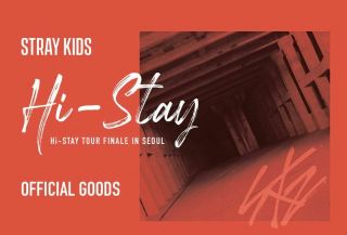 Stray Kids Hi - Stay Tour Finale In Seoul Goods Clear Post Card Postcard Set