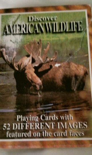 Discover American Wildlife Set Of 52 Playing Cards,  Jokers Different Images