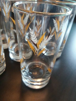 Set Of 6 Vintage Gold - Rimmed Drinking Glasses Glassware With Wheat Design