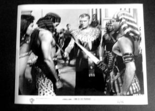 Land Of The Pharaohs/original/1955/movie Photo/joan Collins/egyption Epic