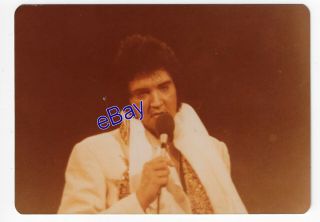 Elvis Presley Kodak Concert Photo Last Tour Close - Up - Jim Curtin Rare