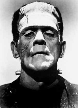 Frankenstein Boris Karloff Photo Bride Of Frankenstein Monster 1935 Movie Film