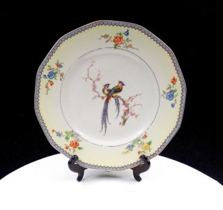 Theodore Haviland Limoges Chambord Flowers And Birds 9 5/8 " Dinner Plate 1922