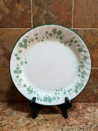 Set Of 8 Corelle Callaway Green Ivy Dinner Plates 10 1/4 "