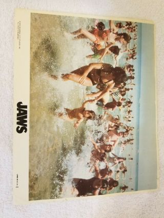 Vintage " Jaws " Movie Lobby Card