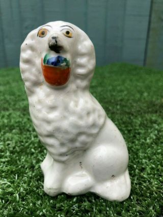 19thc Staffordshire Poodle Dog With Flower Basket In It 