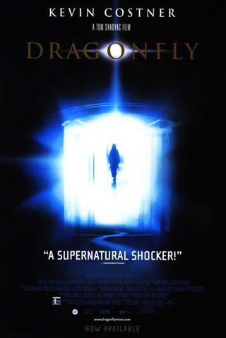 Dragonfly (2002) Dvd Movie Poster - Rolled