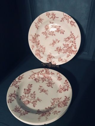 Vintage Set 4 Dinner Plates Churchill Fine China England Antique Rose Pink White