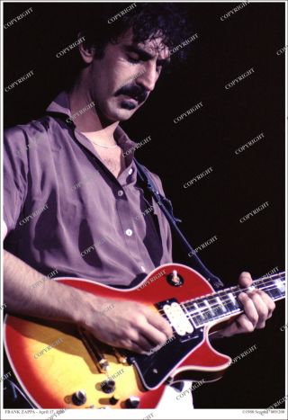 Frank Zappa 19x13 Live Photo 1980 Numbered/limited Edition/no - Cd/lp