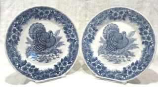 Churchill Myott Factory Archive Thanksgiving Blue Turkey 2 Dinner Plate 10 "
