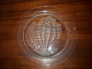 1972 Signed Lalique France Crystal Glass Annual Plate Conquillage Conch Shell