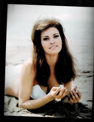 8 X10 Color Photo Of - Close Up - Raquel Welch - Sexy Laying On Beach