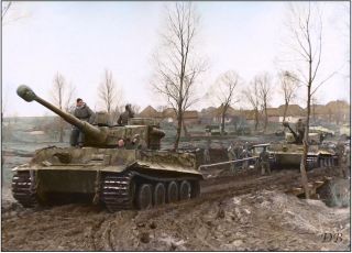German Vi Tiger Tanks In Ukraine World War Ii 8x10 Photo Print