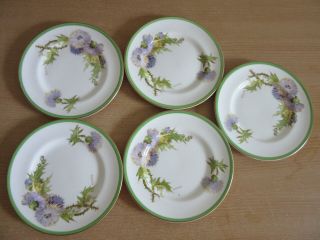 Set Of 5 Royal Doulton " Glamis Thistle " 6 " Porcelain Bread Plates