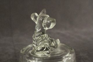 Vintage Jeannette Glass Clear Powder Box Jar & Lid Scottie Dog Bonus Figurine 8