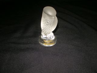 Lalique France Signed 2.  5 " Frosted Crystal Rapace Hawk Owl Paperweight Figurine
