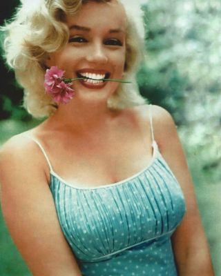 Marilyn Monroe Flower In The Mouth 8x10 Photo Print