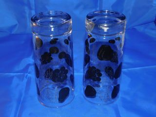 Vintage Set of 8 Mid - Century High Ball Glasses/ Caddy - Black and Gold Fruit 6