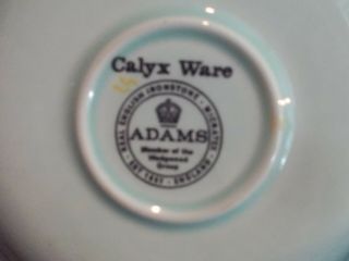 2 Adams Calyx Ware/Calyxware SINGAPORE BIRD Oversized Cups & Saucers 4