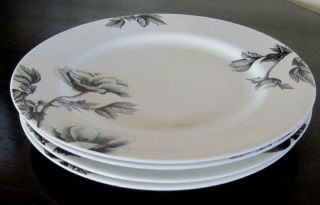 Four Royal Worcester Black Peony 8.  25 " Plates Made In England