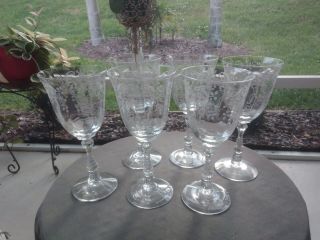 Set Of 6 Fostoria Elegant Glass Meadow Rose Etch Stem 6016 Water Goblets (6)