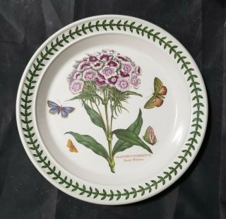 Portmeirion Botanic Garden - Sweet William - Salad Plate - 8 1/2 " Across
