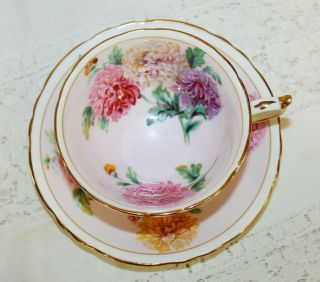 Vintage Paragon Chrysanthemum Teacup And Saucer Pink On Pink Large Mums