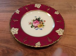 Royal Crown Derby Dinner Plate Vine Pattern Crimson - Artist Signed