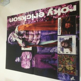 Roky Erickson 18 " X 24 " Poster Vinyl Lp/cd Promo Evil One/don 