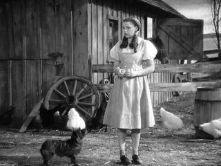 Glossy Photo Picture 8x10 830 Wizard Of Oz Black And White