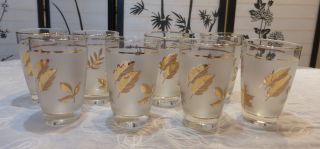 Set Of 8 Vintage Libbey Frosted Gold Leaf 8 Ounce Tumbler Glasses