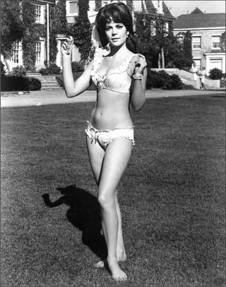 Natalie Wood Posing In Bikini 8x10 Photo Print