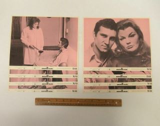 (8) Vintage 1970 (8x10) Movie Theater Lobby Cards The Honeymoon Killers Wz8798