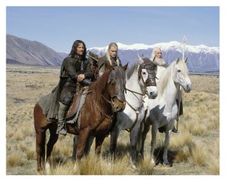 - Lotr - Lord Of The Rings - Cast - 8x10 Glossy Photo