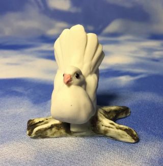 Htf Vintage Capodimonte Bruini Mini Small White Dove Bird On Branch Figurine Evc
