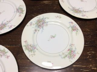 Set Of 7 Vintage Theodore Haviland - Apple Blossom 10 1/8 " Dinner Plate York