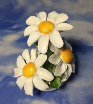 Htf Radnor Bone China 3 Daisy Flowers In Pot Figurine England Evc