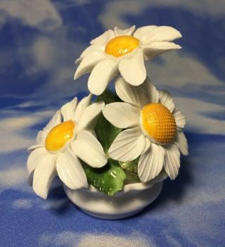 HTF Radnor Bone China 3 Daisy Flowers in Pot Figurine ENGLAND EVC 2