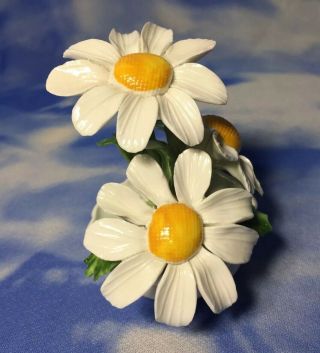 HTF Radnor Bone China 3 Daisy Flowers in Pot Figurine ENGLAND EVC 3