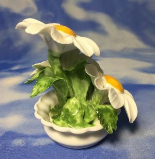 HTF Radnor Bone China 3 Daisy Flowers in Pot Figurine ENGLAND EVC 4