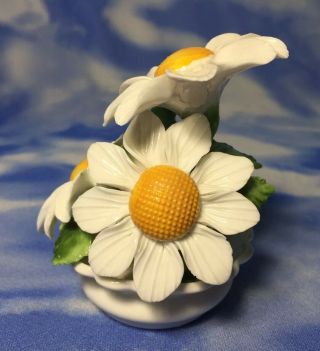 HTF Radnor Bone China 3 Daisy Flowers in Pot Figurine ENGLAND EVC 6