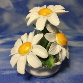HTF Radnor Bone China 3 Daisy Flowers in Pot Figurine ENGLAND EVC 7