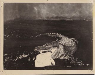 I Was A Teenage Frankenstein Alligator Attack 1957 Vintage Movie Photo 36135