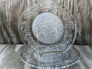 Princess House Dishes Fantasia Clear & Frosted Large Dinner Plates Set Of 2